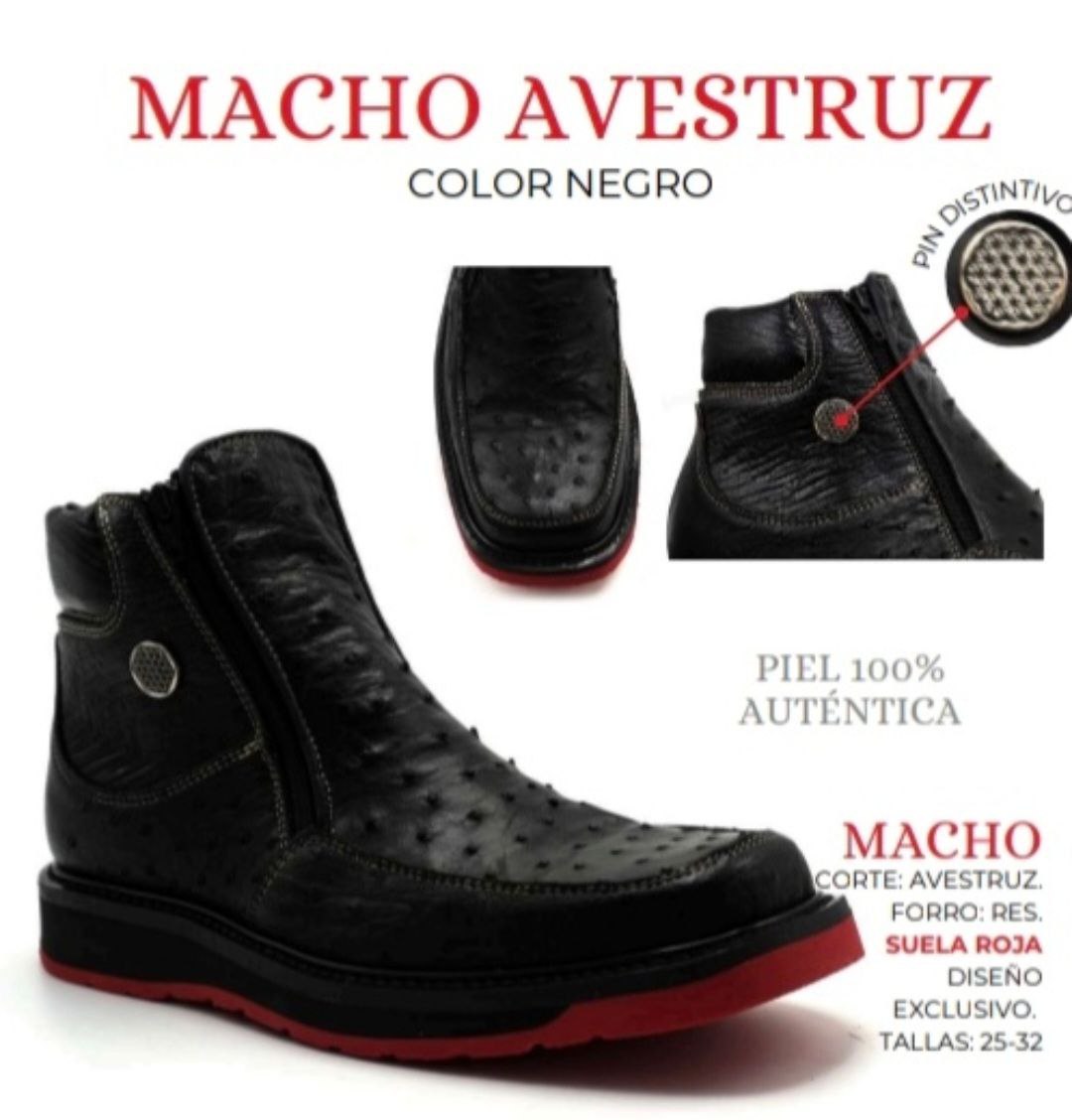 botin de avestruz estilo macho