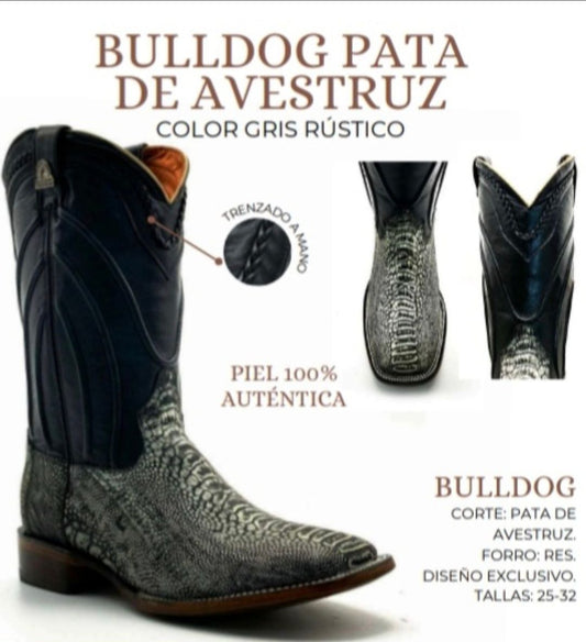 bota de pata de avestruz Bulldog